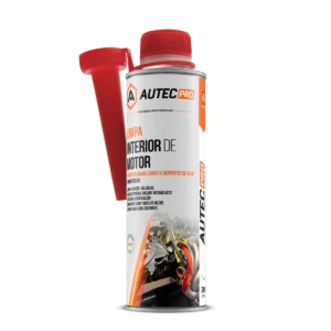 Limpa Interior de Motor 300ml